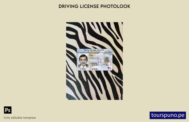 Plantilla FRONTAL lista para imprimir USA New York DL photolook